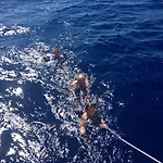 Botel Le Vele Sailing Boat