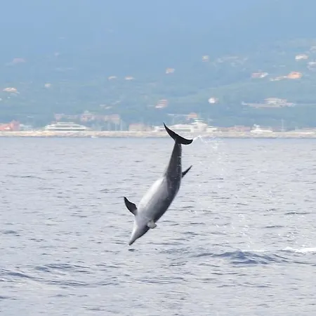 Le Vele Sailing Boat * Loano